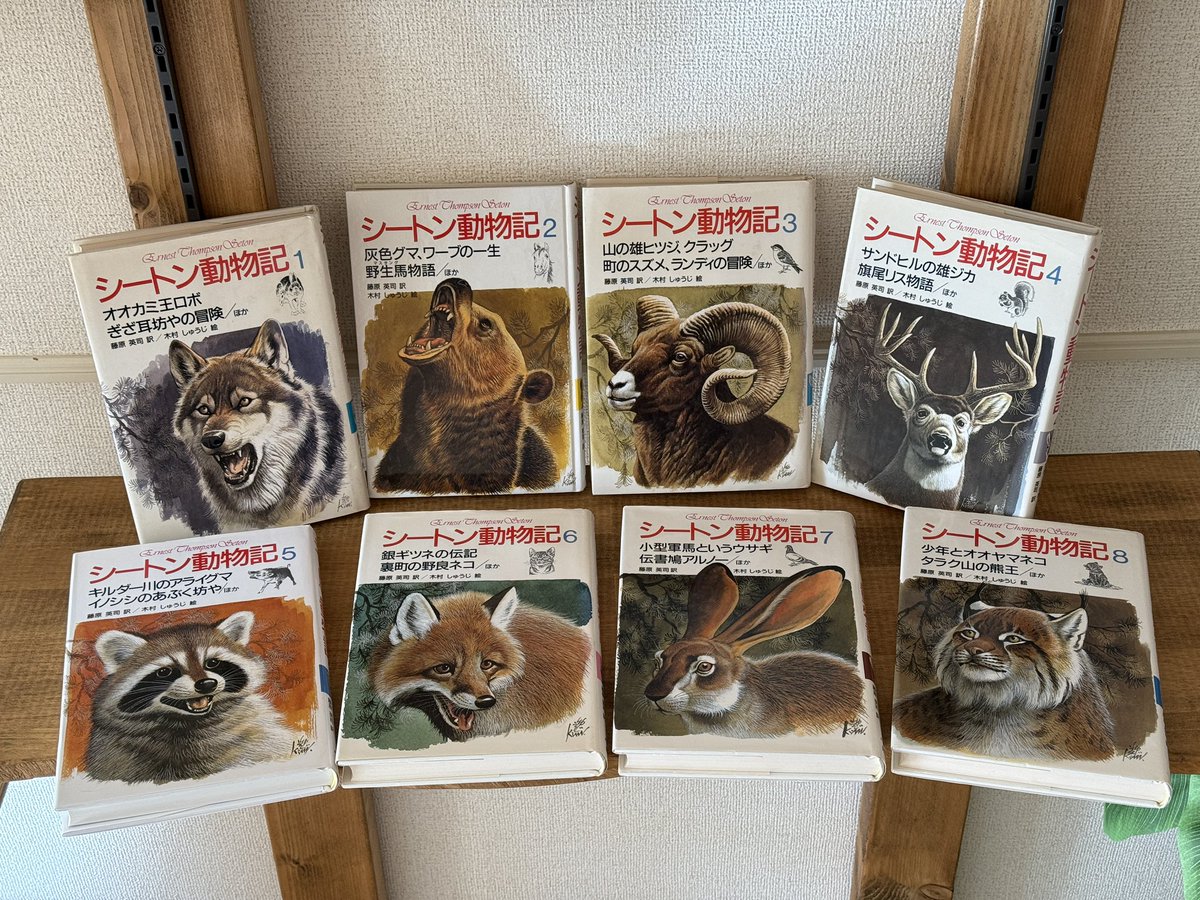 集英社さんの80年代のハードカバー版 絵は木村しゅうじさん 本当に絵が