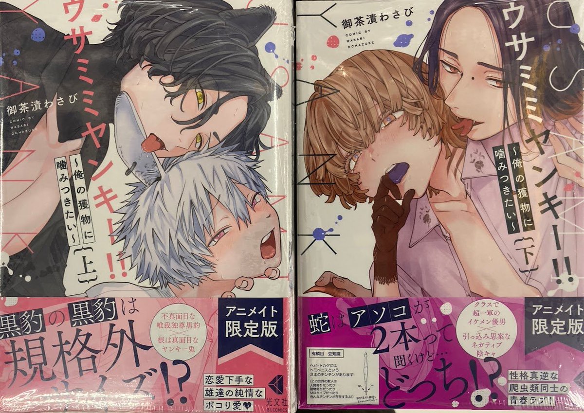animatefukuyama's tweet photo. 【✨書籍入荷情報✨】

『秘匿のΩは運命を殺す(3) 通常版・アニメイト限定版』
『ウサミミヤンキー!!～俺の獲物に噛みつきたい～(上) ・(下)　通常版・アニメイト限定版』
『鳴かぬ蛍は青に焦がれる』
『愛されたいなら覚悟しろ』

入荷いたしておりますバラ🌹 https://t.co/Tgpv27p0a3