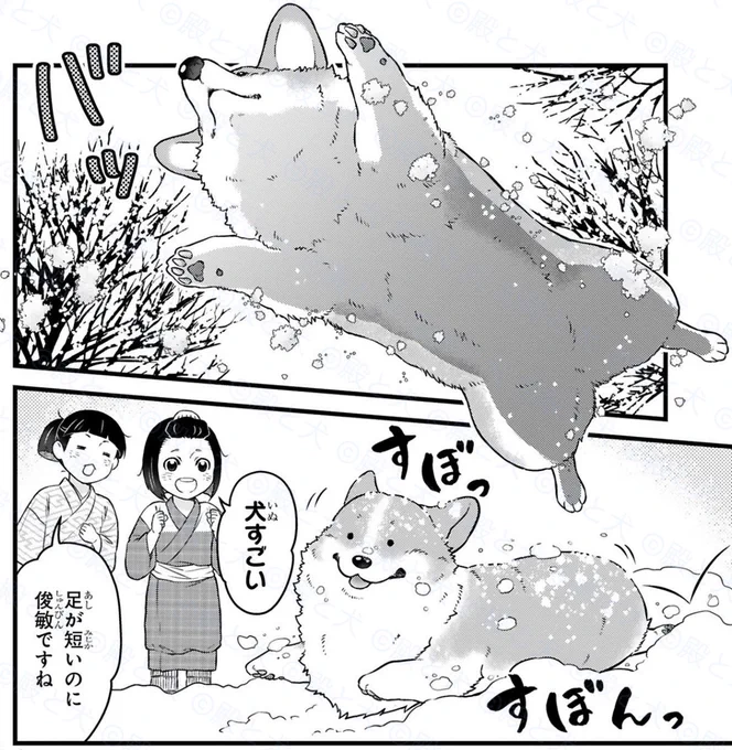 初めての雪とコーギー

すぼっ すぼんっ

#殿と犬🐶 