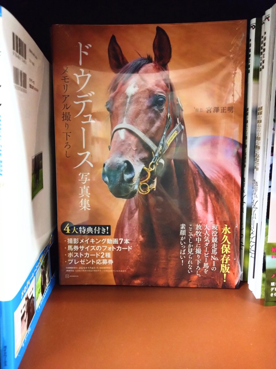 公式】ドウデュース写真集 (@photo_dodeuce) / Posts / X