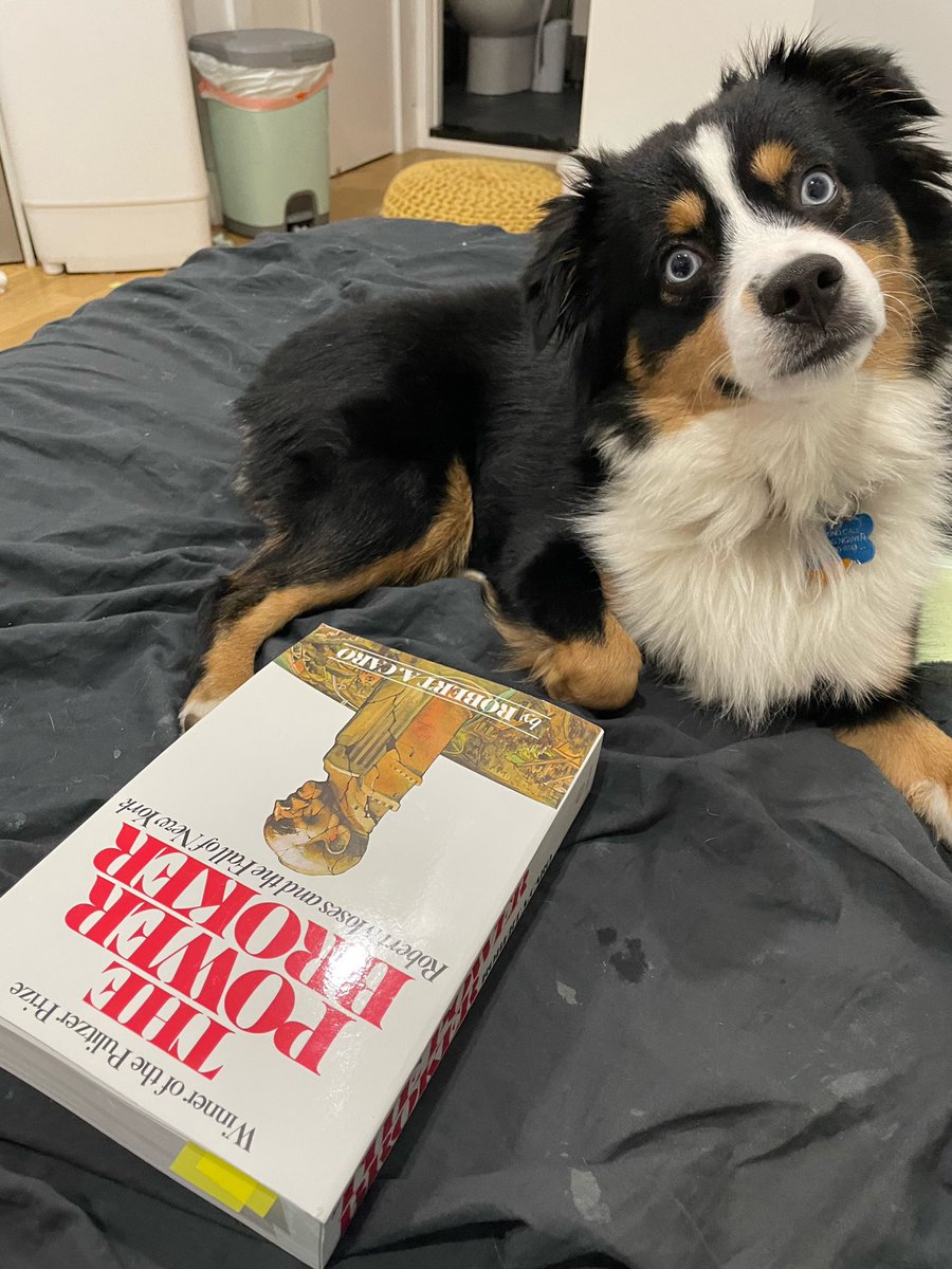 PN_Partners's tweet photo. @investing_law 💯 worth it!!! Waayy more of an enjoyable read than I thought! Even my dog was curious to read it 🤣 https://t.co/opHaqXsJ6A