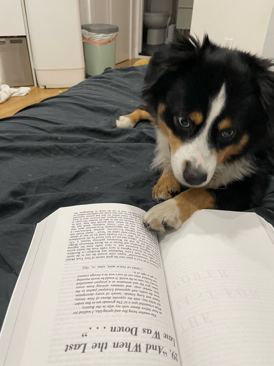 PN_Partners's tweet photo. @investing_law 💯 worth it!!! Waayy more of an enjoyable read than I thought! Even my dog was curious to read it 🤣 https://t.co/opHaqXsJ6A