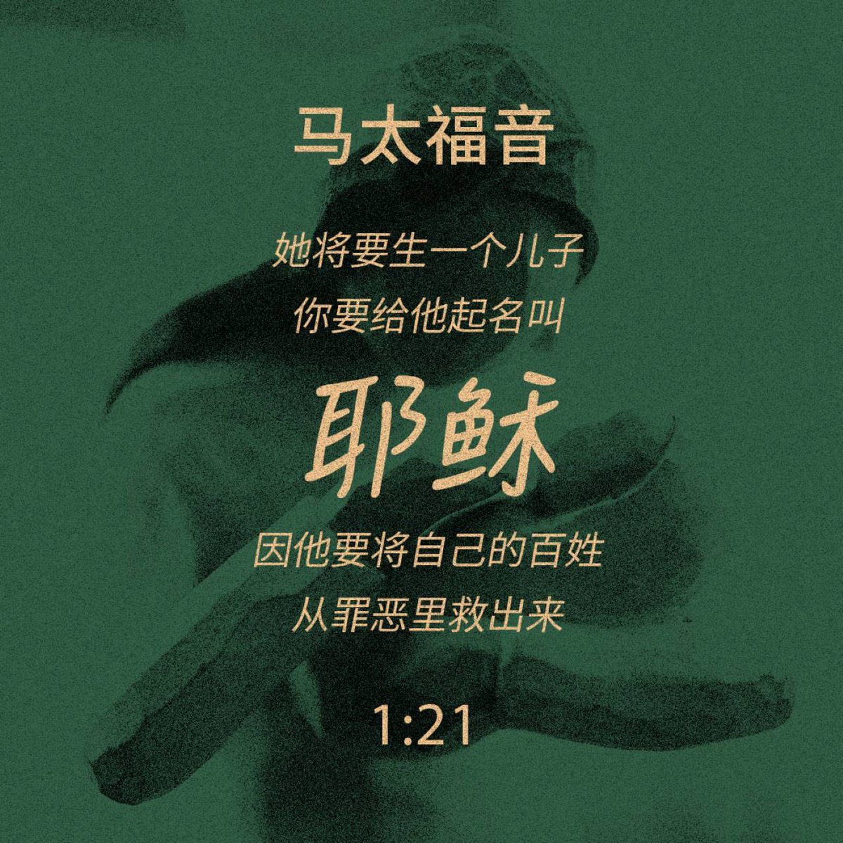 Jetfuchin1's tweet photo. https://t.co/AdQPzJbNUu https://t.co/Apg7bpyA9v