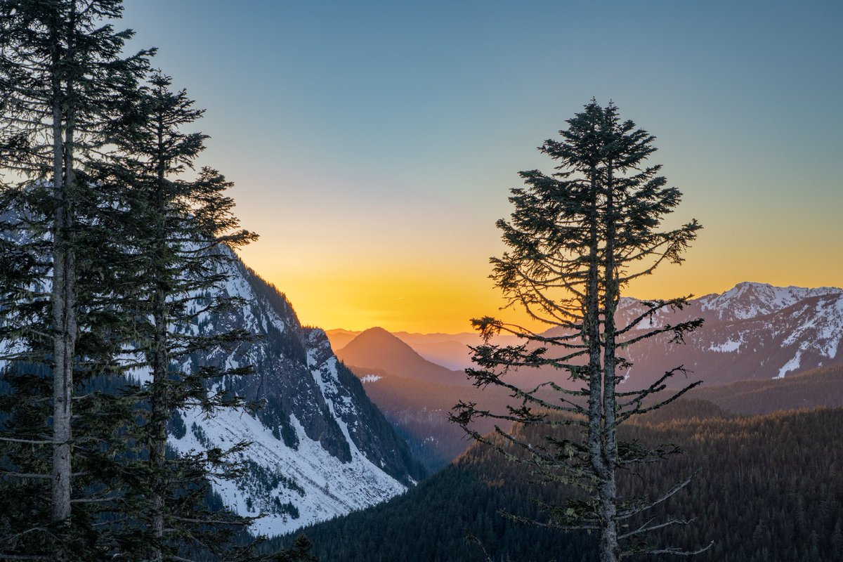 💫🌟Merry Christmas 🌟💫  
🌄 Mount Rainier Sunset🎄
Photo: Veronika Nagy
