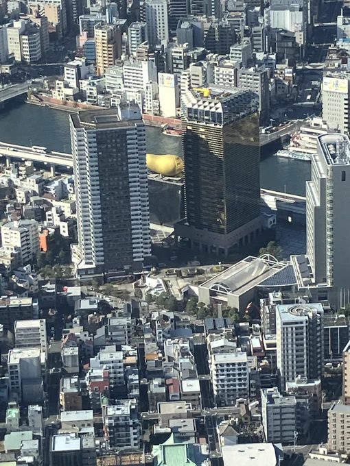 エドくん楽しそうだね 