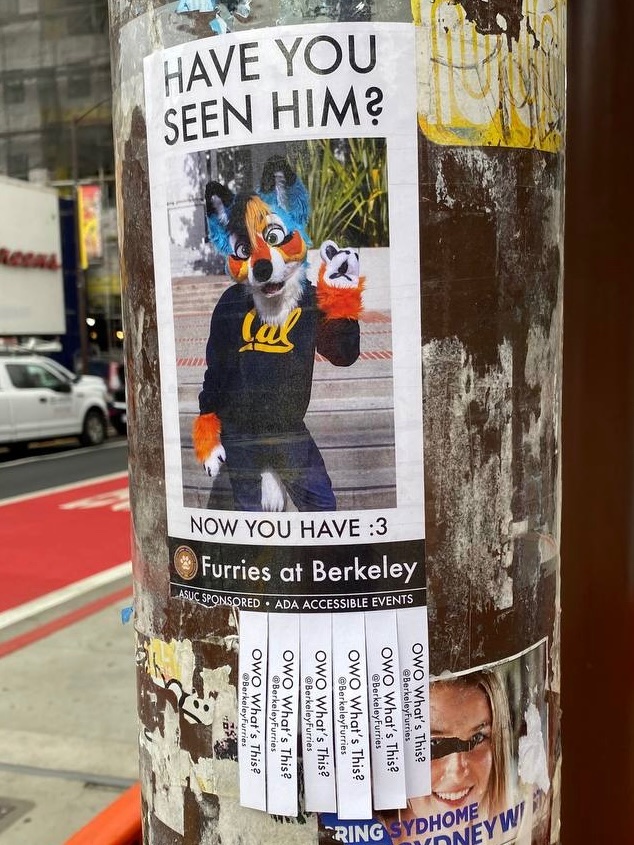 Furries at universities: we’re everywhere 👀
