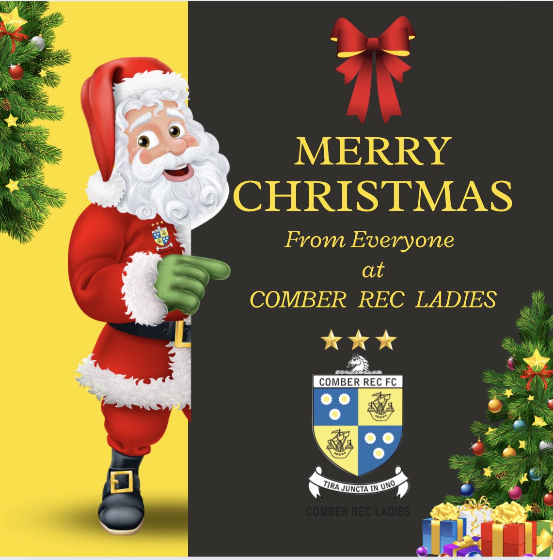 Comber Rec Ladies (@comberrecladies) on Twitter photo 