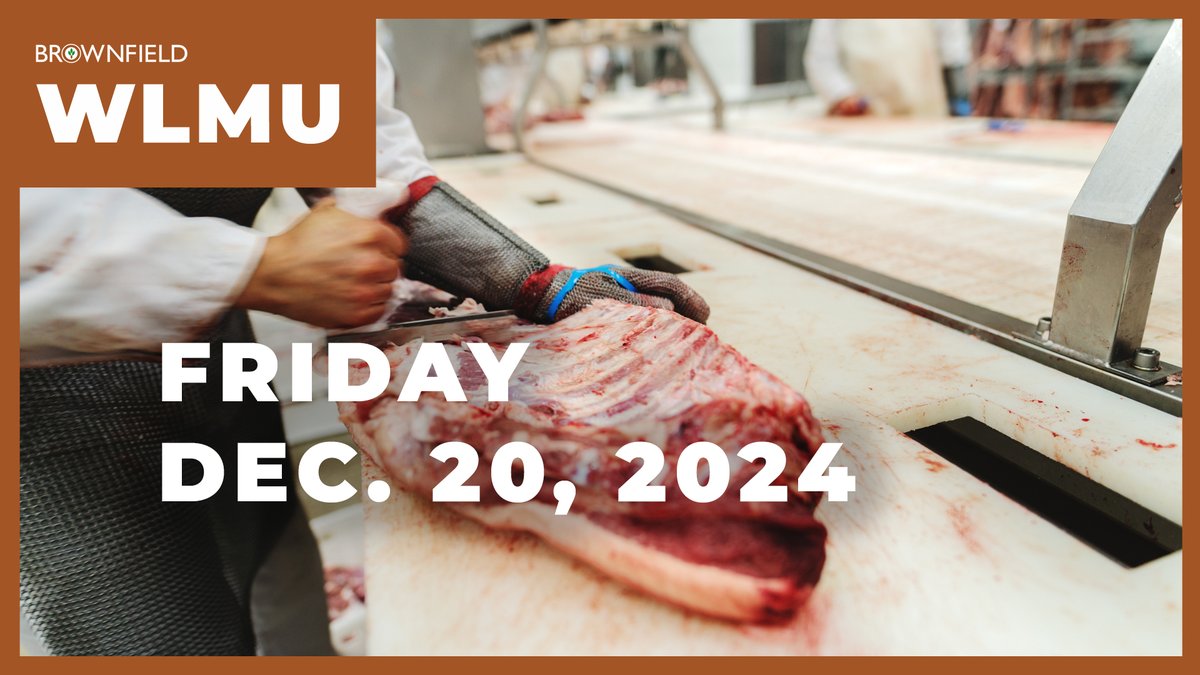 Brownfield Ag News (@brownfield) on Twitter photo VIDEO: youtu.be/QgxR7CORX2w
In <a href="/MUScottBrown/">Scott Brown</a>'s final Weekly Livestock Market Update, Scott and <a href="/BRNAgNews_MG/">Meghan Grebner</a> talk about the November beef cow slaughter dropping nearly 31% from 2023. Meghan also introduces the three new economists that will replace Scott in 2025. VIDEO: youtu.be/QgxR7CORX2w
In <a href="/MUScottBrown/">Scott Brown</a>'s final Weekly Livestock Market Update, Scott and <a href="/BRNAgNews_MG/">Meghan Grebner</a> talk about the November beef cow slaughter dropping nearly 31% from 2023. Meghan also introduces the three new economists that will replace Scott in 2025.