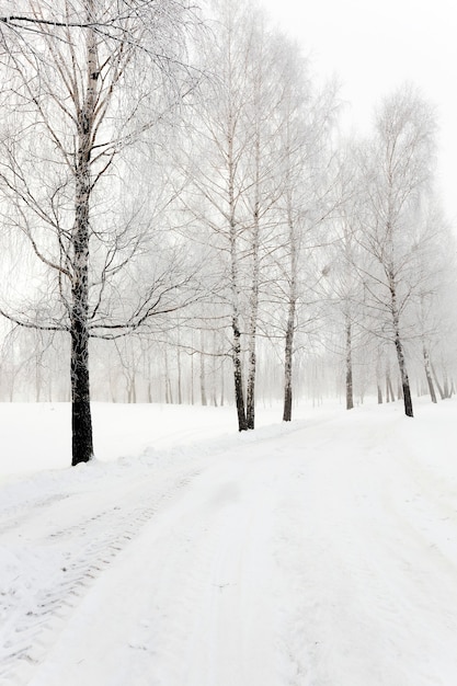 Patience is the art of hoping.

Luc de Clapiers