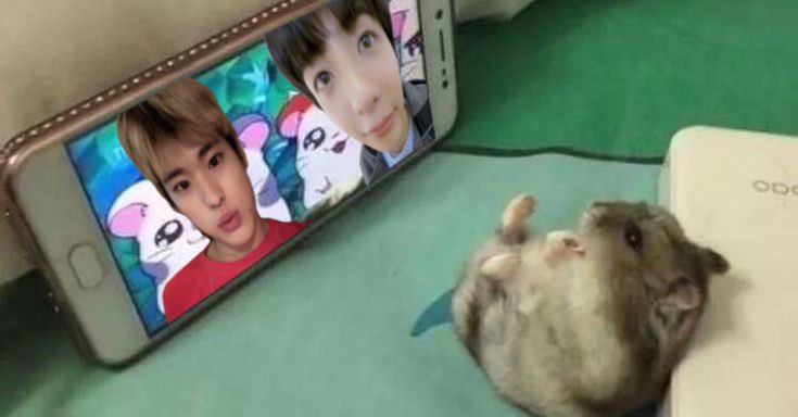 ขามน้ำมะนาว tweet media