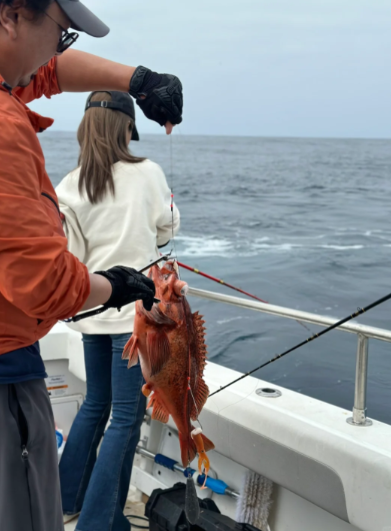 FredaOnlyL's tweet photo. Get away from the hustle and bustle of the city and embark on a journey to a fishing paradise where you can enjoy a peaceful fishing time with only rippling water and fish playing around.#fishing https://t.co/GC43Je0eAU