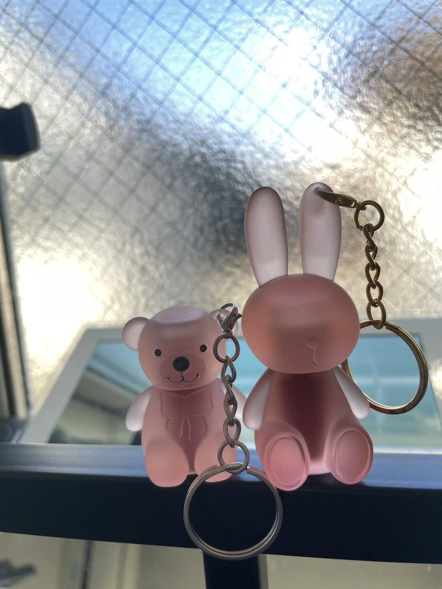 便利すぎるリップかったー！
ネックストラップにくっつける✌🏻