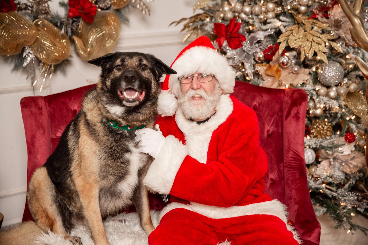 Merry Christmas and Happy Howlidays everyone…