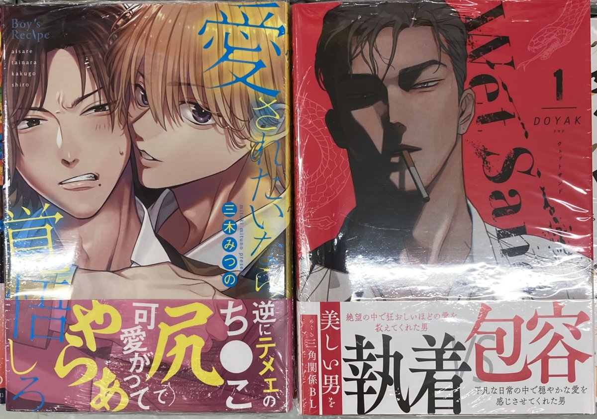 animatekumamoto's tweet photo. 【書籍BL入荷情報】

・箱庭のアンバー 
アニメイト限定セット/通常版
・愛されたいなら覚悟しろ
・Wet Sand(1)
・ブルースカイコンプレック���画集「trésor」 
アニメイトセット/通常版

入荷いたしましたクマ✨

＃アニ熊本入荷　
＃アニ推しBL https://t.co/1PxwCbyWaW