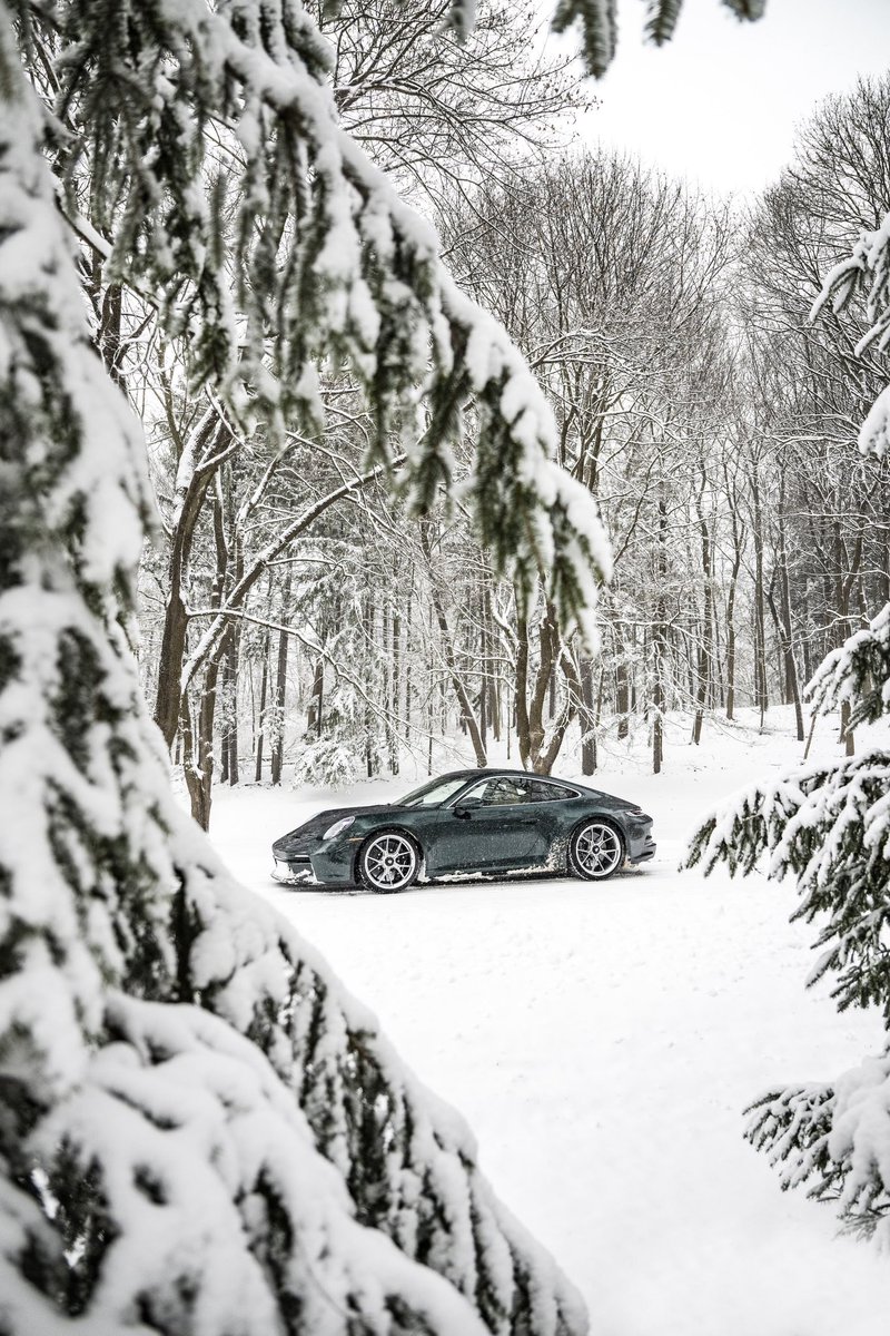 scarfonephoto's tweet photo. Pesto’s first winter 💚

Life is short. Drive your cars.

Km: 89,901 https://t.co/0TcmHvUOHh