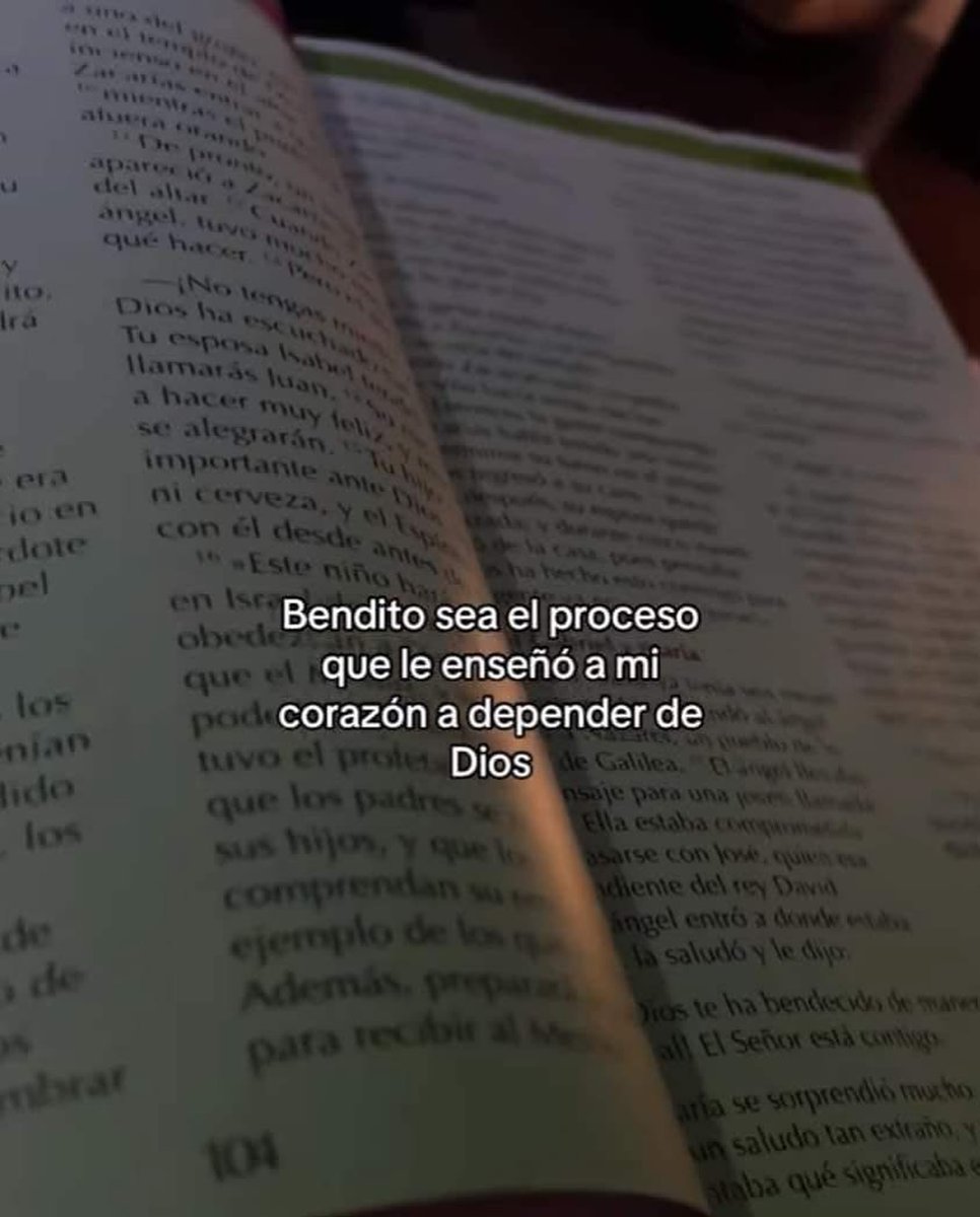 elsiervo__'s tweet image. 