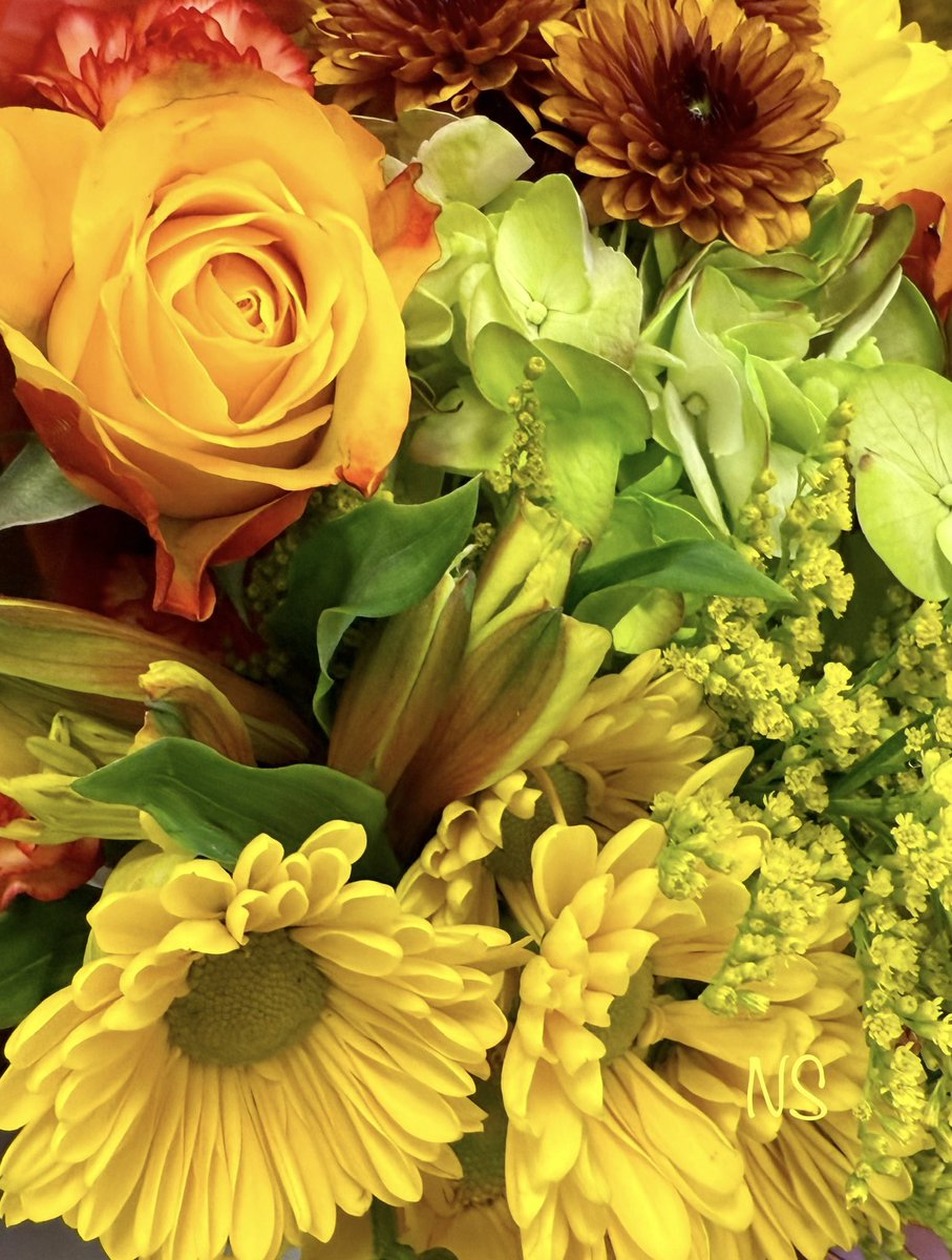 Have a wonderful weekend 🌾🌾

#almostchristmas 🎄
#PeaceAndLove 🕊️