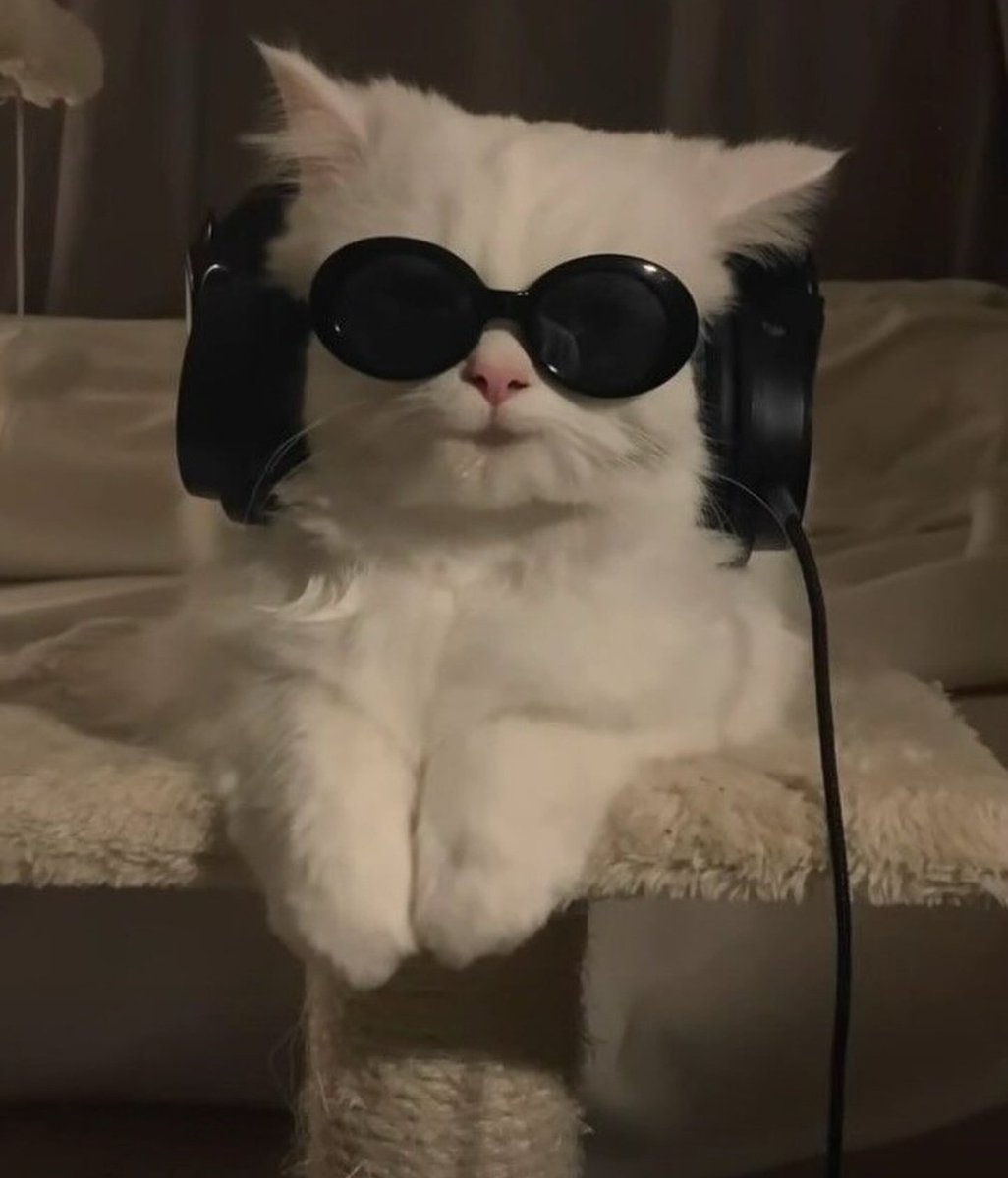 Cats Cure Depression tweet media