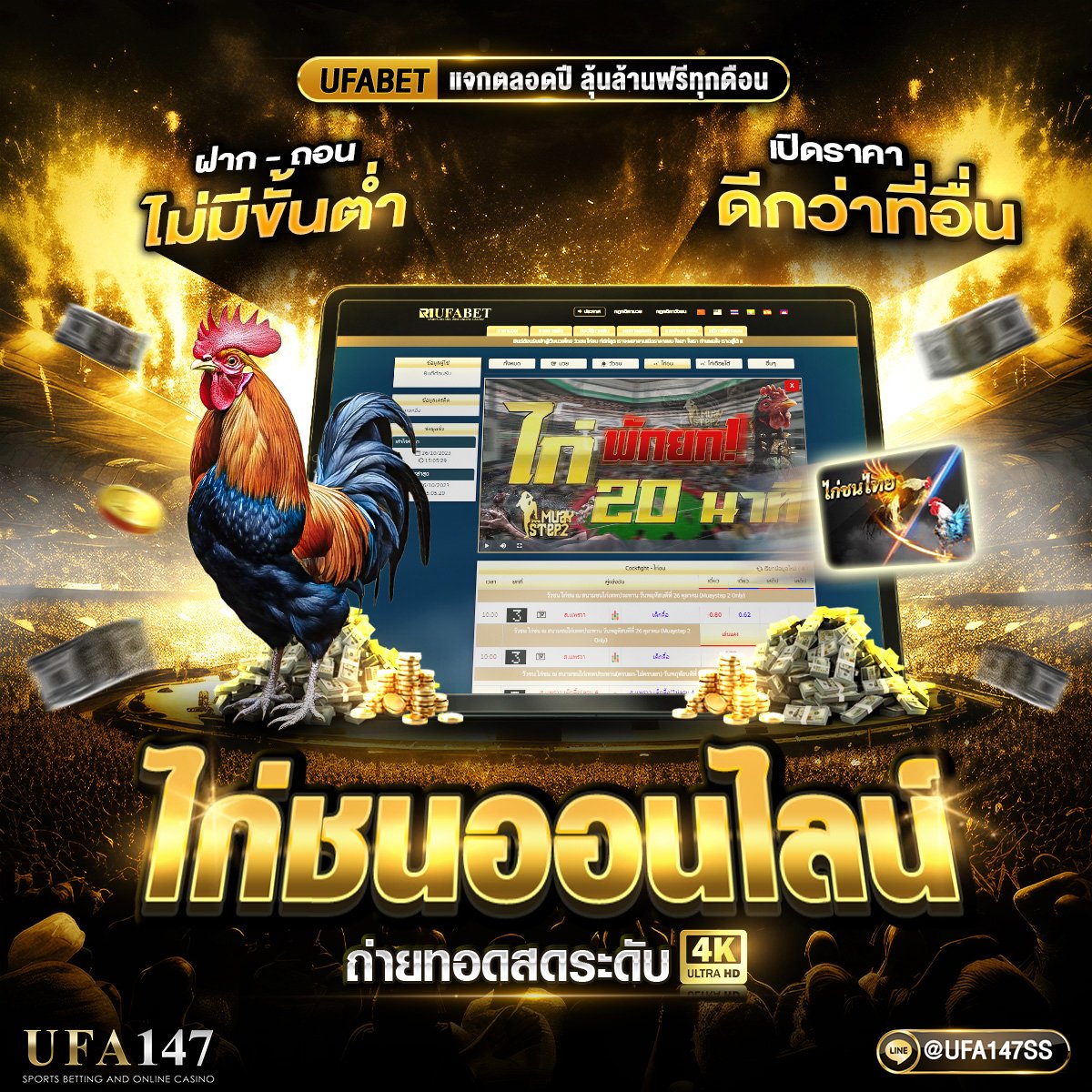 sychn20's tweet photo. 🐓ไก่ชนออนไลน์ ถ่ายทอดสดระดับ 4K🏟
ฝาก - ถอนไม่มีขั้นต่ํา เปิดราคาดีกว่าที่อื่น 
แอดเลยมาที่ @ufa147ss หรือคลิกที่ลิงก์ >>https://t.co/9EvuRSca7l  
.
#ufa147 #ไก่ชนออนไลน์ #ไก่ชน #คนชอบไก่ #ไก่ชนแดนใต้ https://t.co/p1k53QrfFE