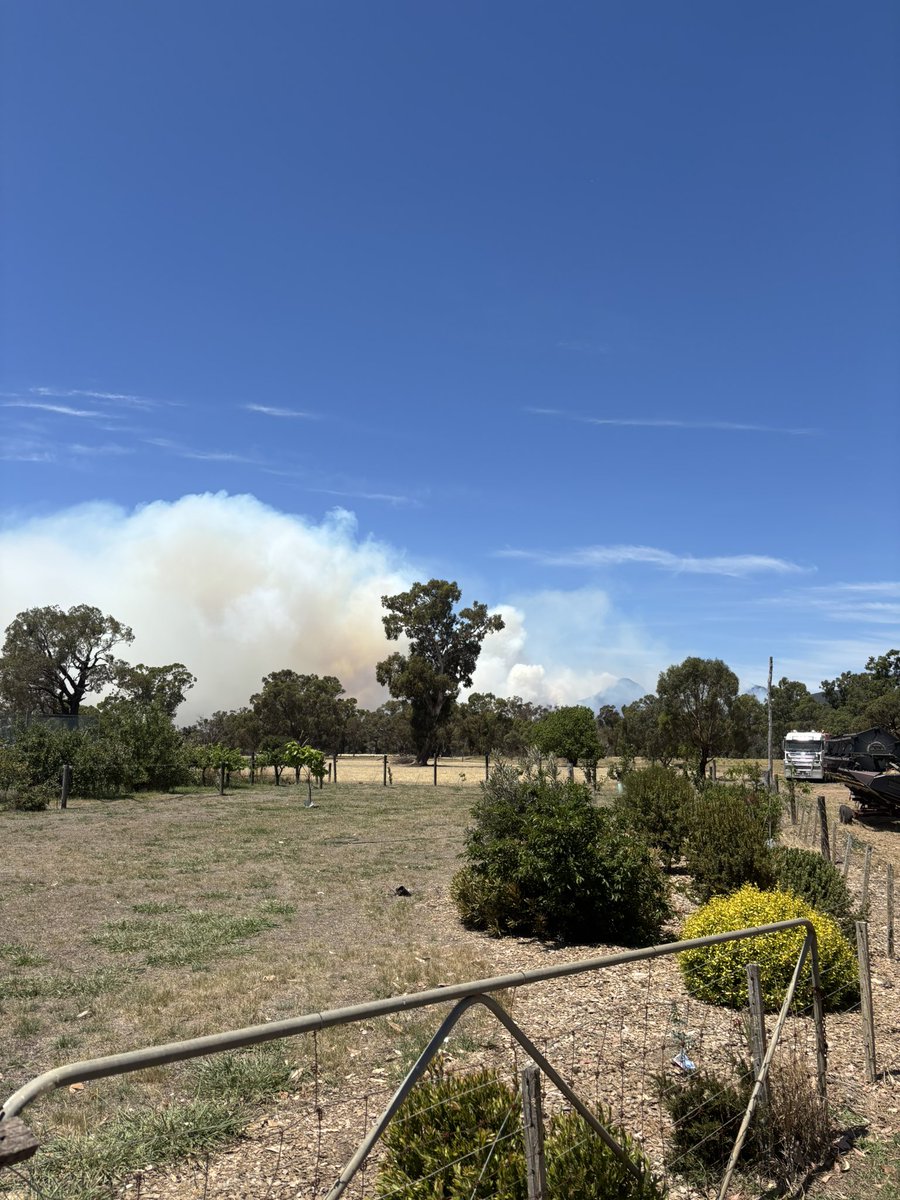 will crawford tweet media