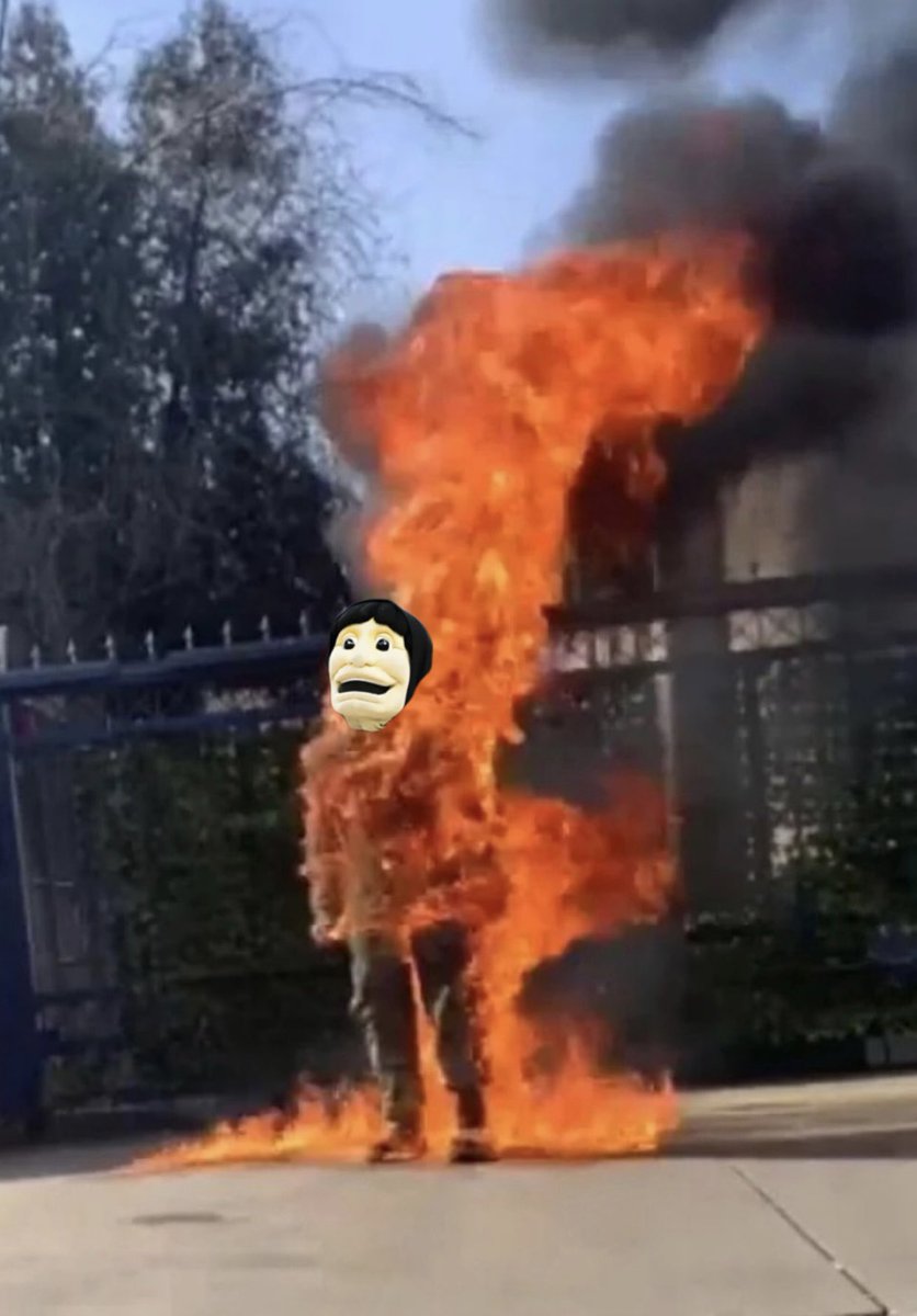 Donnie Mexico (@donniemexico17) on Twitter photo 