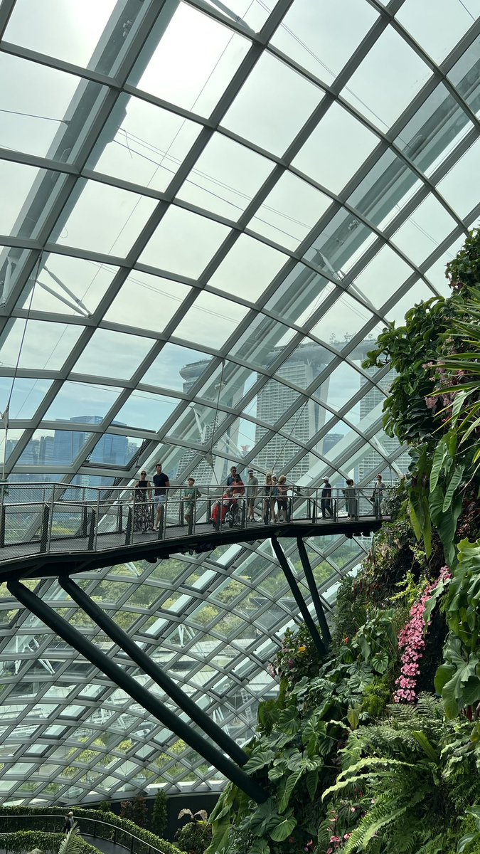 ꦄꦢꦶꦠꦾ 🍉 tweet media