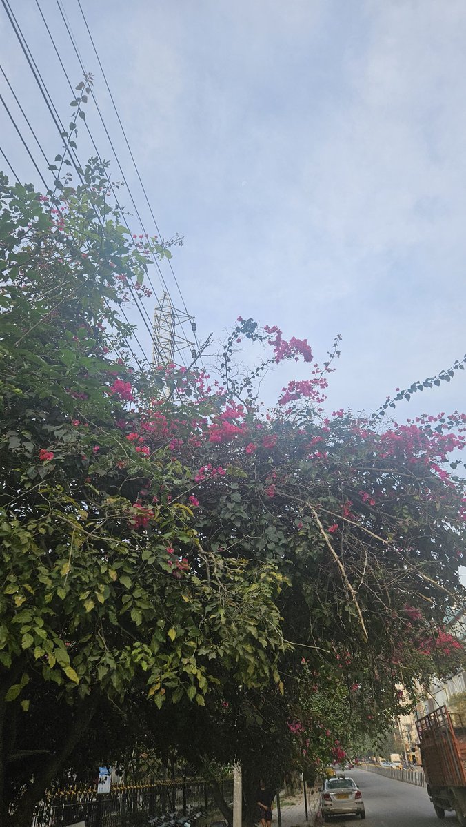 VBcodes's tweet image. Workout view pro max in HSR🌸
-- No matter whatever time you doze off on Friday, early mornings on Saturday feels productive 🥹