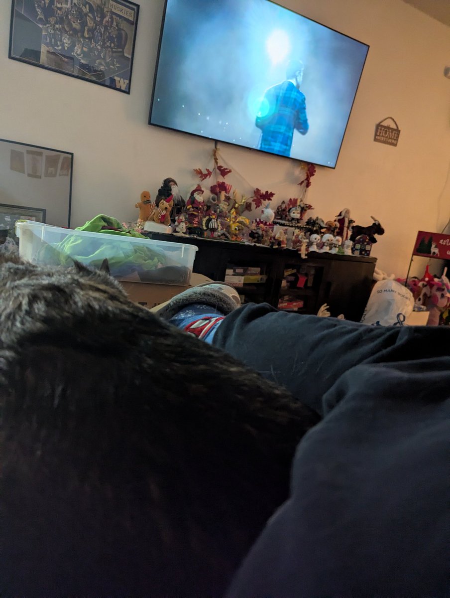 KerriRuss01's tweet photo. Was supposed to be in Nashville for girls' weekend for our annual Glow vacation to see @bretteldredge but a Christmas light accident has me stuck at home. Luckily I can stream the concert and watch with the pup, family, and friends. Just missing Brett and the bestie. https://t.co/j46LseJ66m