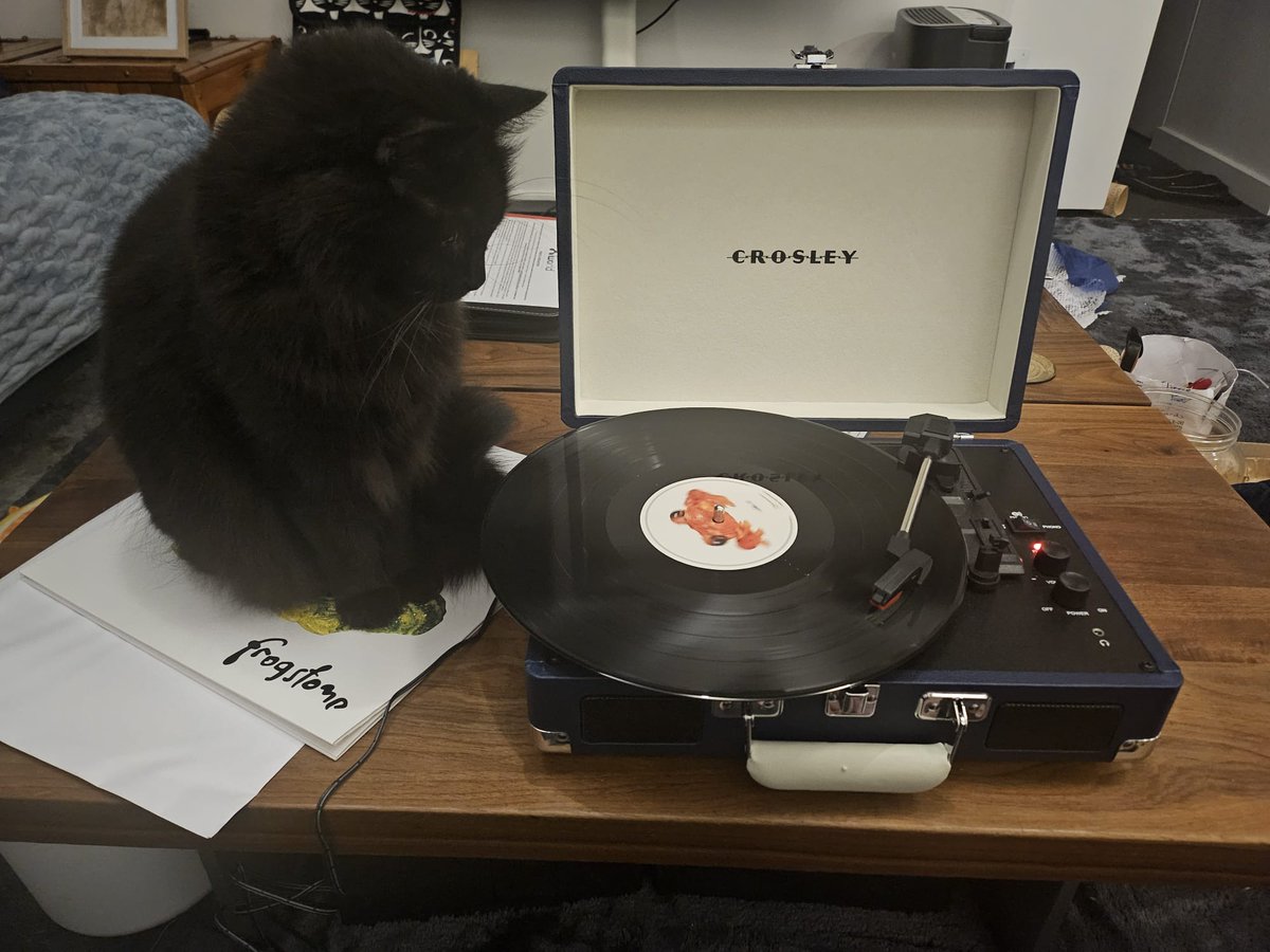 avspook's tweet photo. Poko cat not sure about the spinning thing #Offspring #ChristmasPresents
#Silverchair #FrogStomp https://t.co/AcPDDoJg35