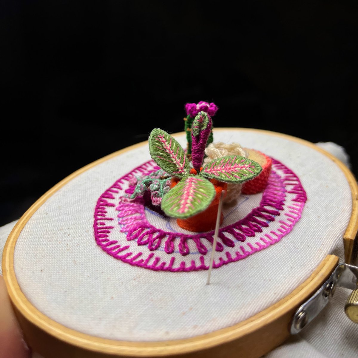 AntoniaHARII's tweet photo. Miren la hoja nueva de esta calathea, enrolladita y pequeña 😭🥺✨🤧 https://t.co/Y6j4kcPYBG
