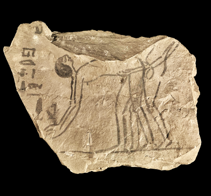 egyptomuseum's tweet photo. An ostracon showing a pair copulating, dating between the 19th-20th Dynasties, from Deir el-Medina (workman's artisan village).

British Museum. EA50714 https://t.co/sqYokXsuxP