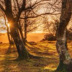 Photo by Forestry England (@ForestryEngland)