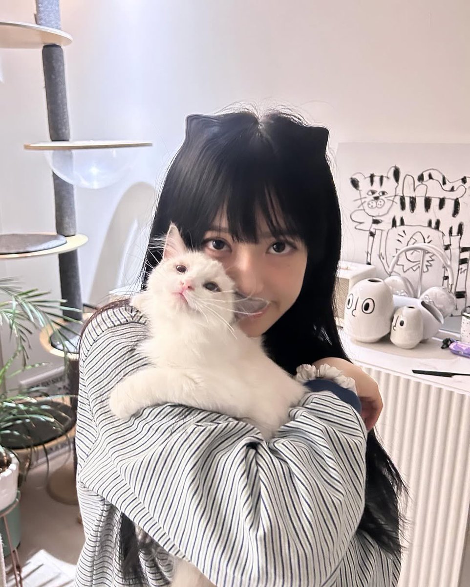 /ᐠ - ˕ -マ tweet media