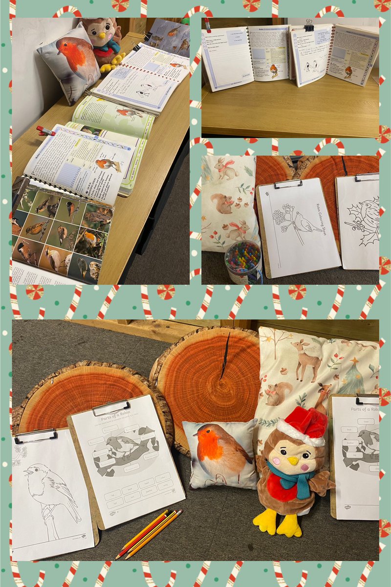 Flynn In The Forest tweet media