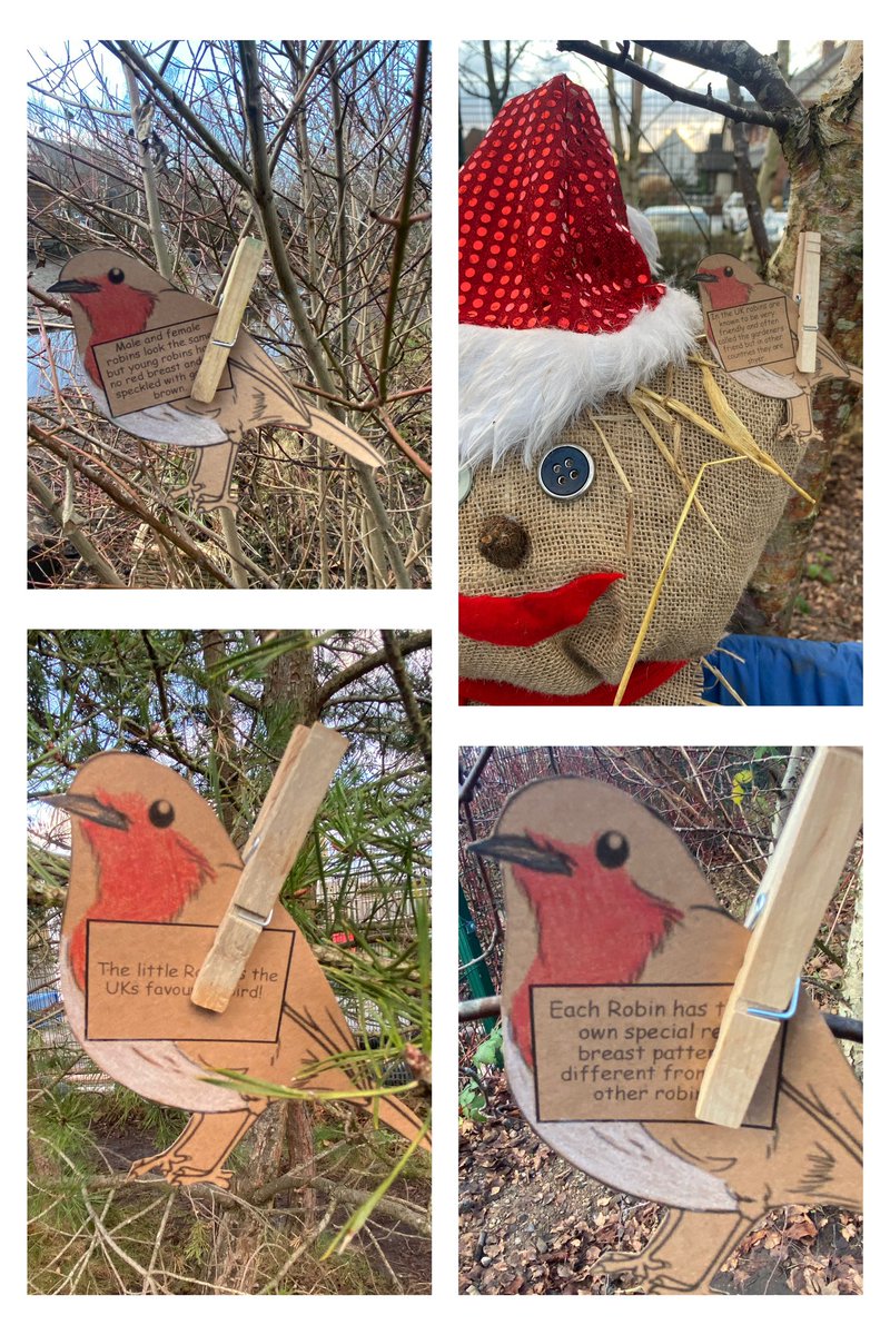 Flynn In The Forest tweet media