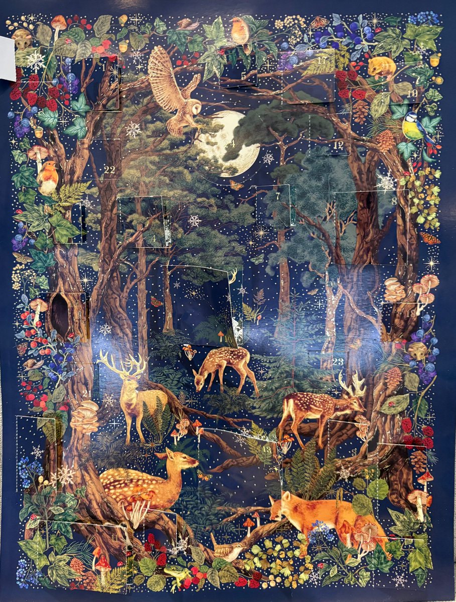 MarvellousMinds's tweet image. Day 21 of the writer&apos;s advent calendar... it&apos;s a butterfly. One that really shouldn&apos;t be here in December.
Today&apos;s challenge is to write a haiku about a butterfly trying to find home.
#AdventChallenge
#WritingCommunity 
#WinterJoy