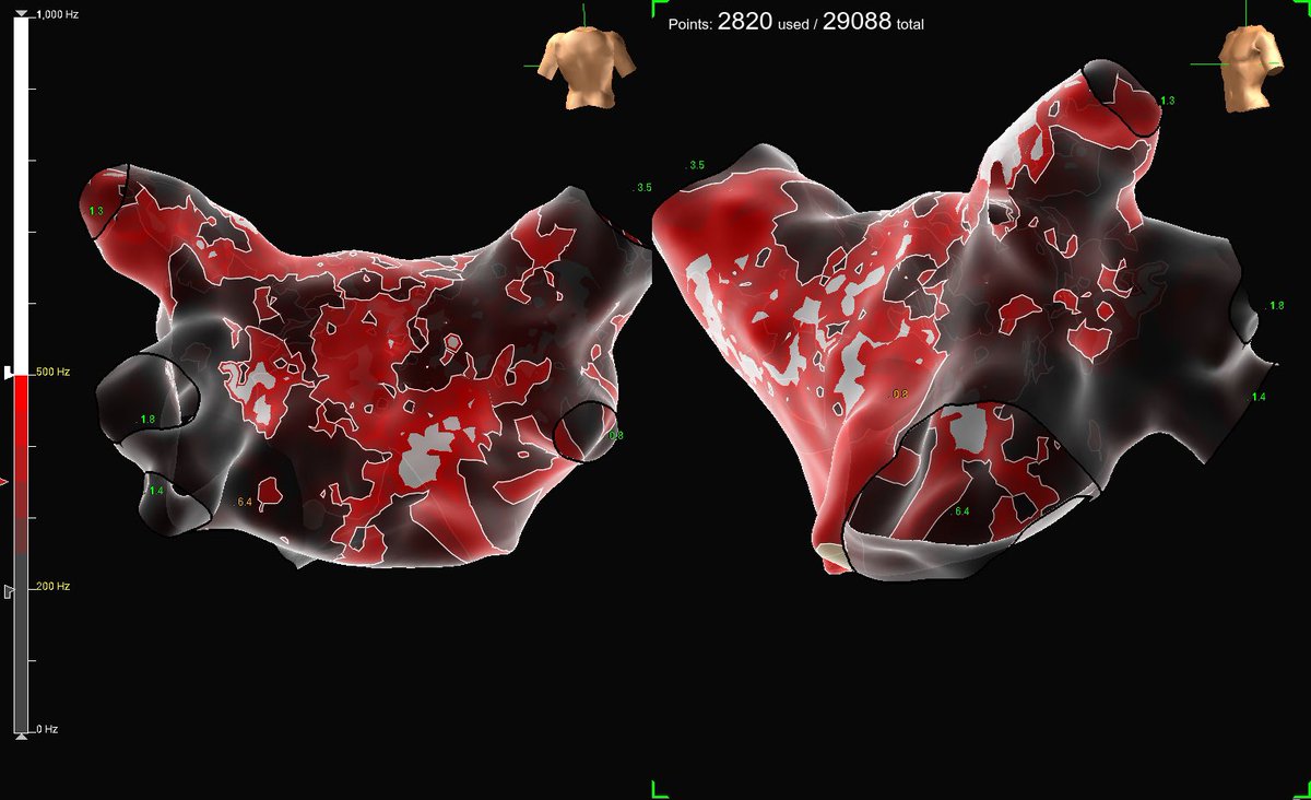 Sergio Conti tweet media