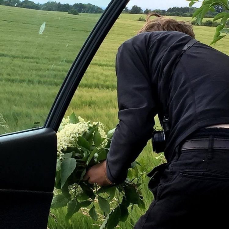 Hilda_czyta's tweet photo. „Obserwuję w lusterku, jak znika w mroku, i dociera do mnie, że zupełnie straciłem czujność, bo właśnie powiedziałem, że ją kocham.”

🫠💚

#thefrontrunner https://t.co/Z6tsvE0Dor
