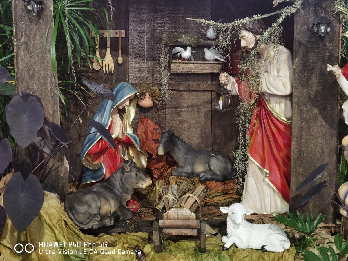 rikicaicedo's tweet image. Pesebre antes que llegue la navidad en Dosquebradas #ShotOnHuawei #P40pro