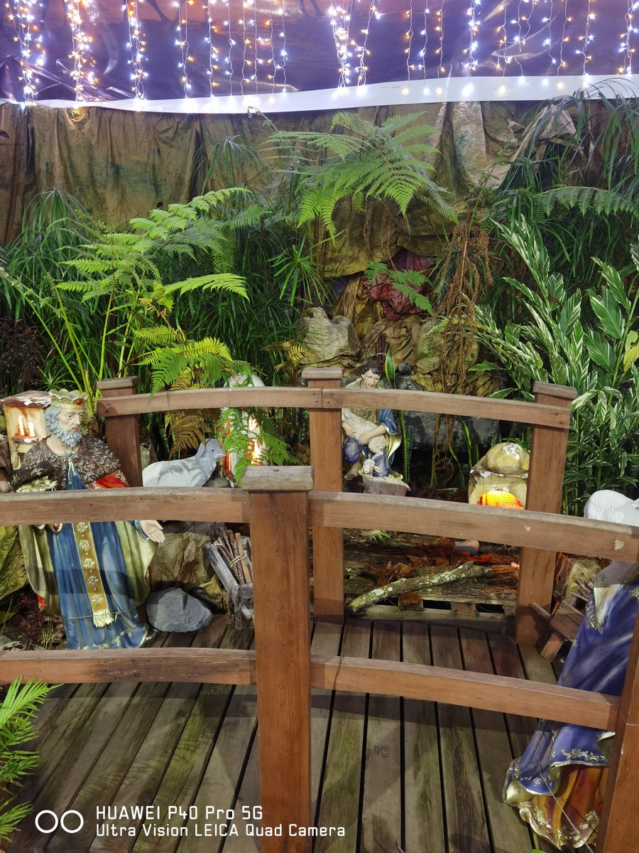 rikicaicedo's tweet image. Pesebre antes que llegue la navidad en Dosquebradas #ShotOnHuawei #P40pro