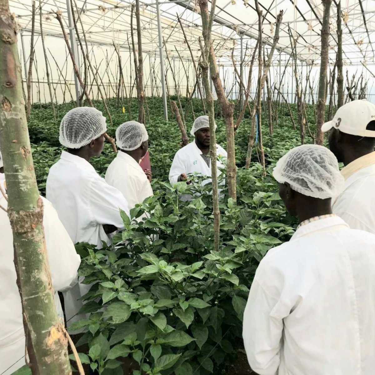 Collaboration with <a href="/HangaHubs/">Hanga Hubs</a> Nyagatare, <a href="/colead_link/">COLEAD.link</a>, &amp; <a href="/NdegoFarm/">Ndego Farm Ventures</a> Academy in #YouthEmpowerment &amp; training in horticulture farming in #Rwanda 🇷🇼. 
Program is designed to boost #agriculturalinnovation &amp; create employment opportunities. #RwOT
<a href="/rwictchamber/">Rwanda ICT Chamber</a> #SustainableFarming