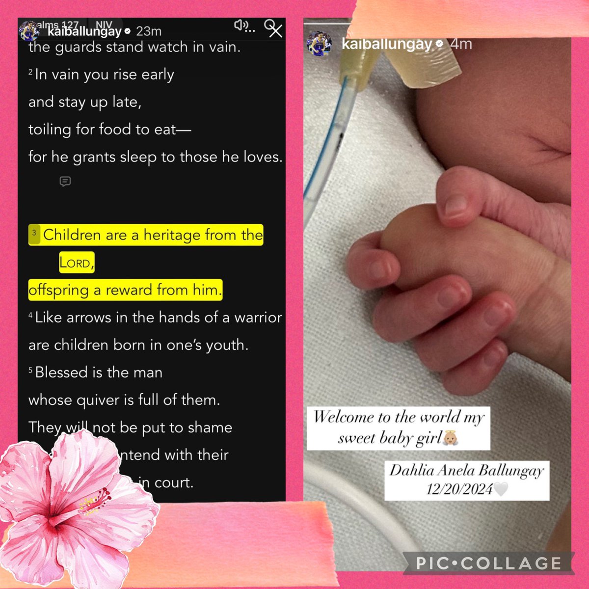 Cecily Ballungay tweet media