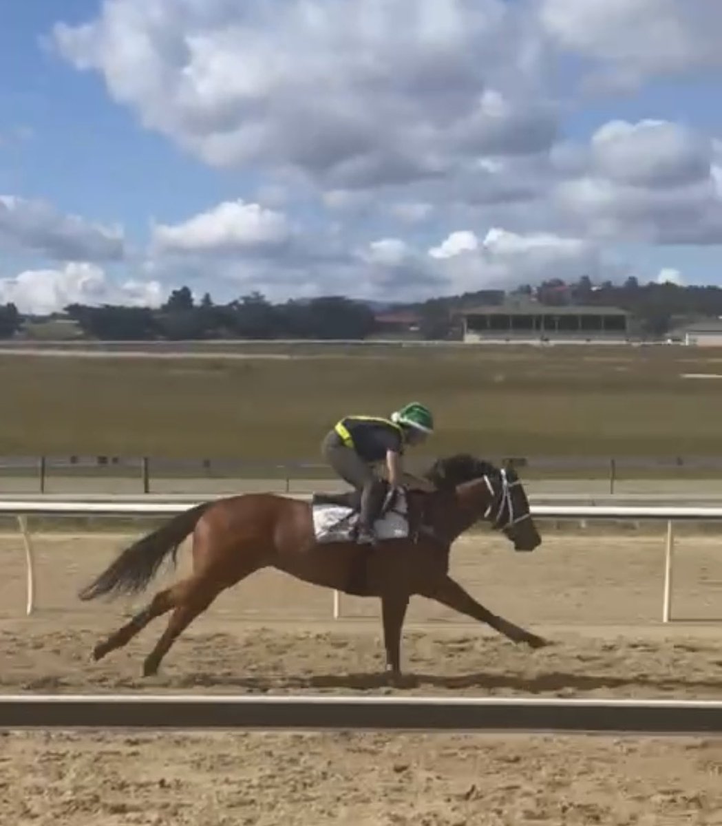 Have a very Grinchy Christmas from me and Periwinkle