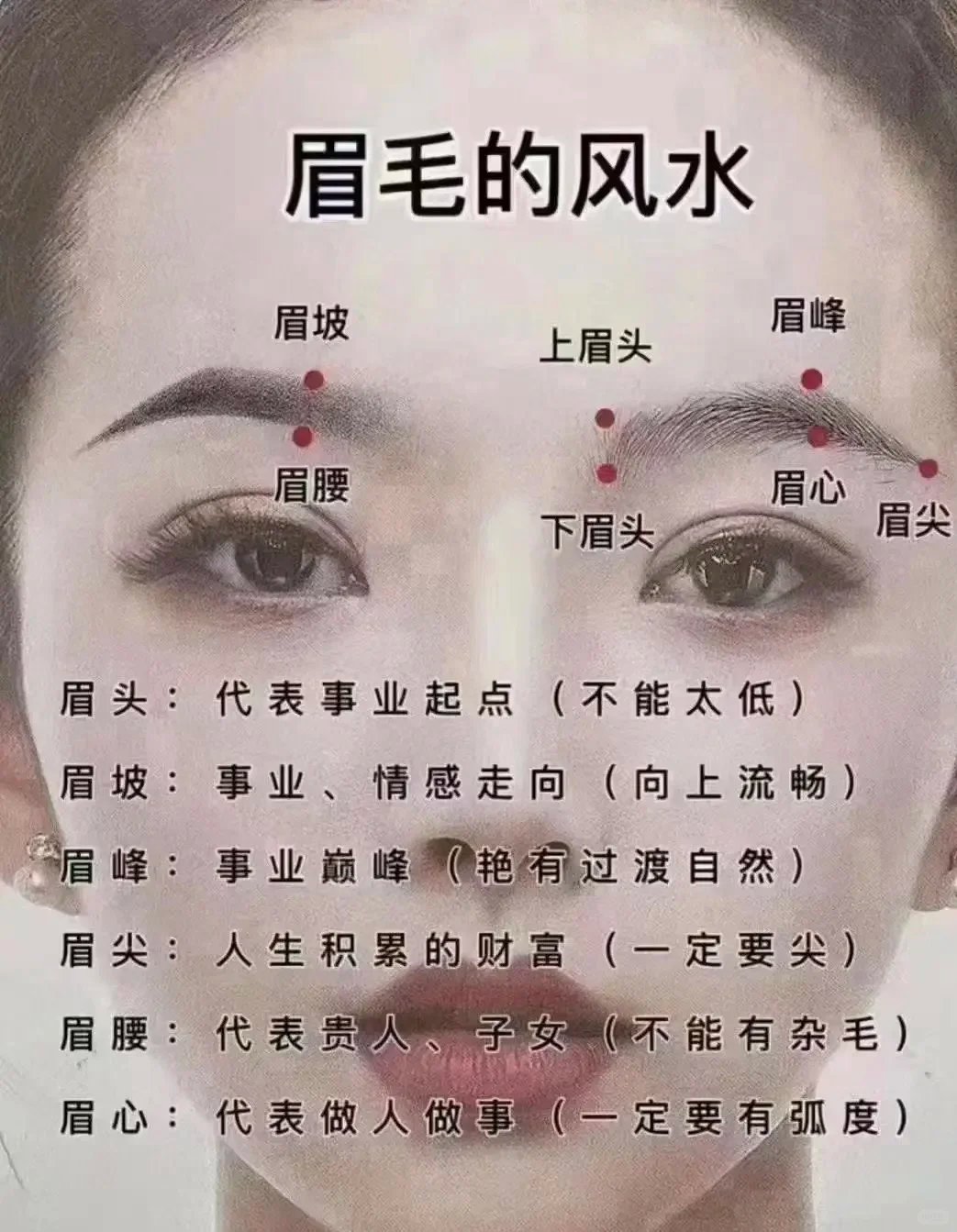 紫斗天禄-命理师on X: "眉毛风水，你知道吗？  相学说：修眉修心，改眉改运，眉段财断，眉散财散，眉垂财空，眉缺财走，上缺伤情，眉高心高，眉低受欺，眉不过框，富贵不长，眉宇上扬，气势向上！  https://t.co/FvJi1auzS0" / X