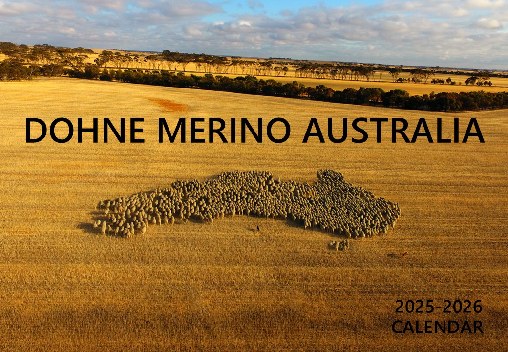 DohneAus's tweet photo. We’re shaking things up for 2025! Instead of publishing another Dohne Merino Journal, we’re thrilled to announce the launch of the Dohne Merino Calendar – a stunning A4-sized calendar running from July 2025 to June 2026.
#Dohnes #DohneMerino #networking #sheep #australiansheep https://t.co/Rg3J9shXi2