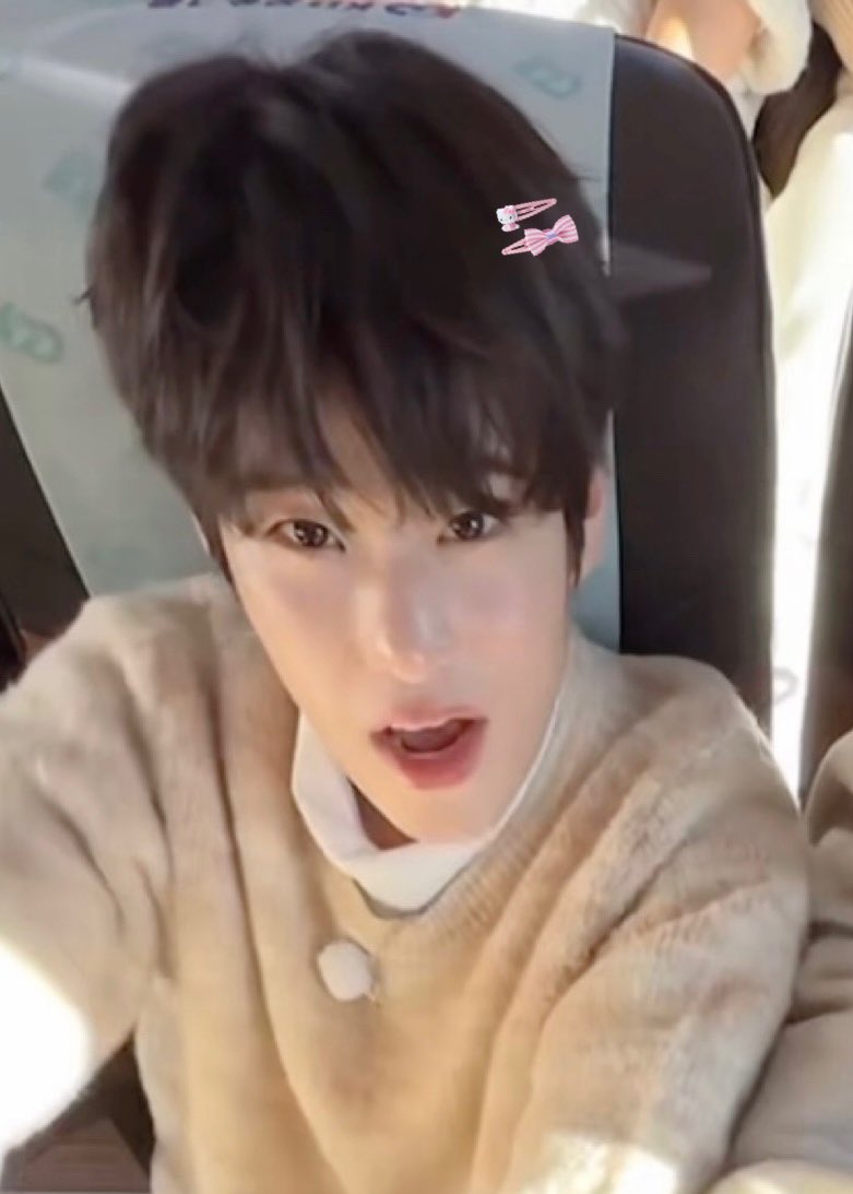 meow meow meow meow meow meow meow meow meow meow meow meow meow meow meow meow meow meow meow meow meow meow meow meow meow meow meow meow