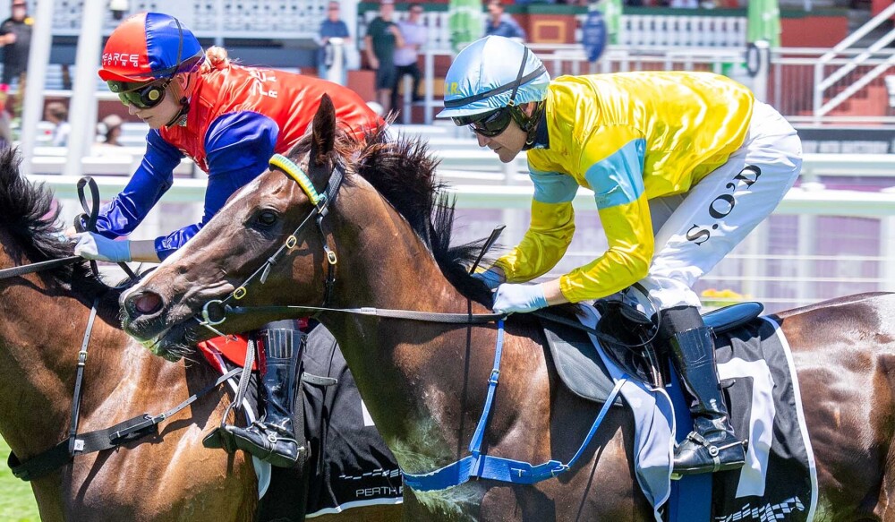 RacingWATV's tweet photo. "It was a roll of the dice but we backed ourselves in."

The Ted Van Heemst over the A.T.A. Stakes pays off for Morton with In Good Order spruiking Perth Cup ambitions. https://t.co/gM6PJOTJhe @santassnippets @westernracepix https://t.co/tlE8JRGXFV