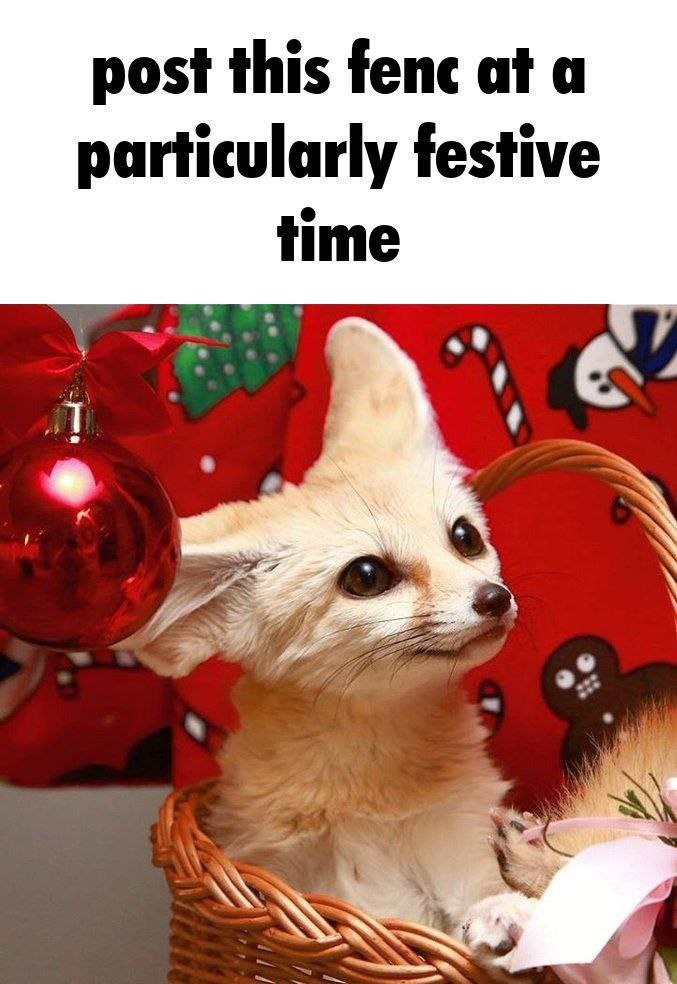 OccasionalFops tweet media