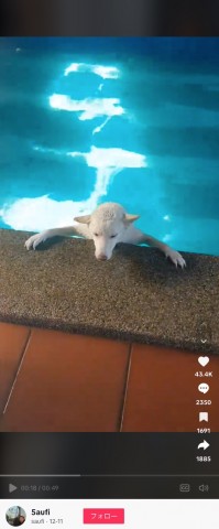 ライブドアニュース tweet media