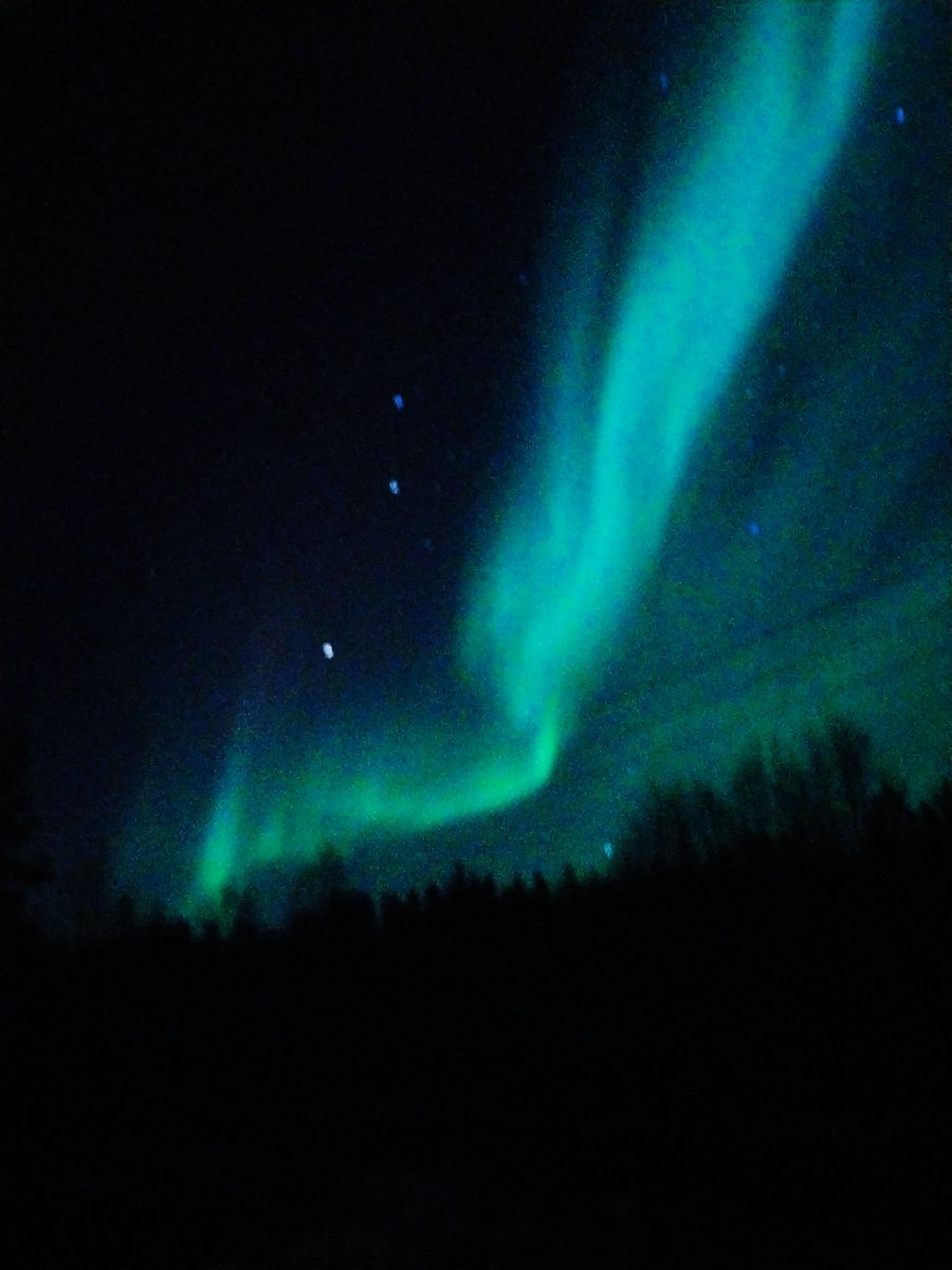 Hindrik Vriesinga🚜🐄🐷🐥 tweet media